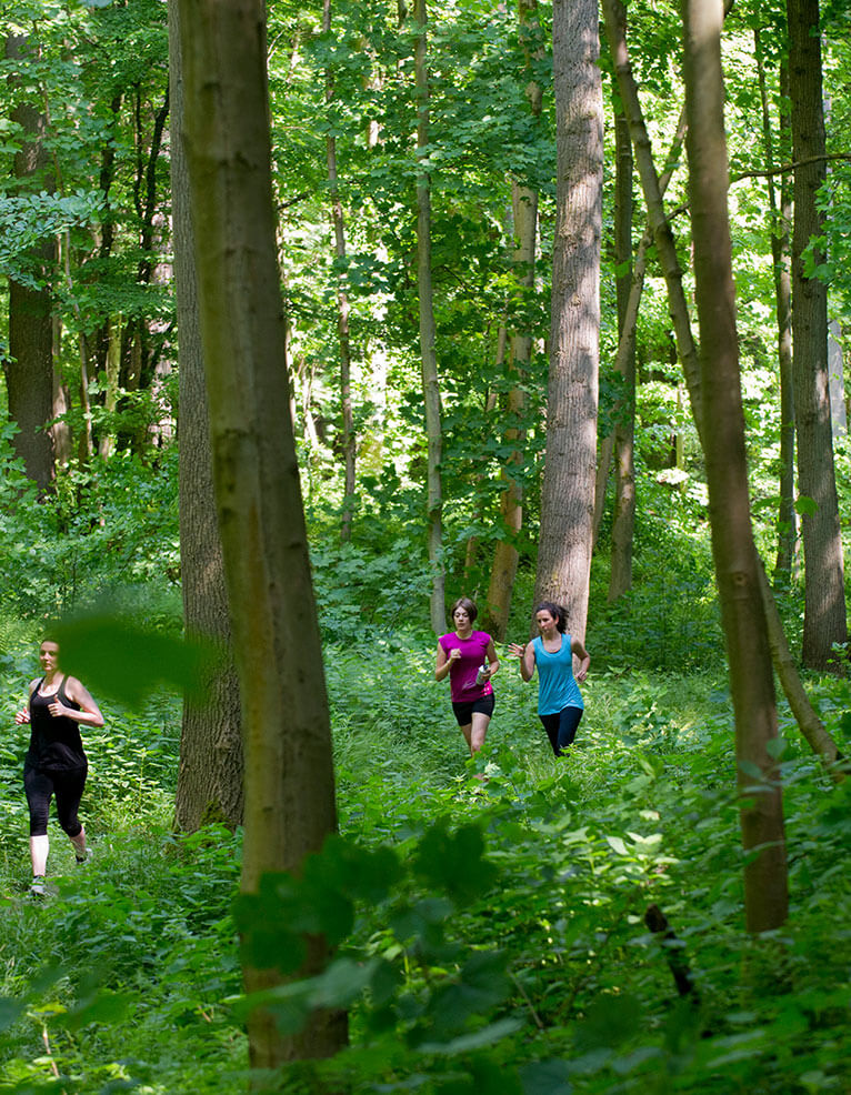 Drie personen joggen in het Zoniënwoud